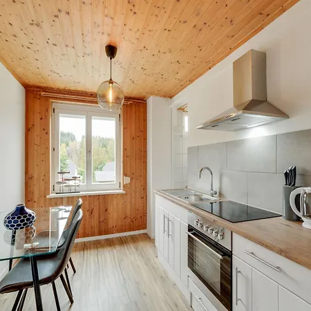 In Am Skilift Apartman *