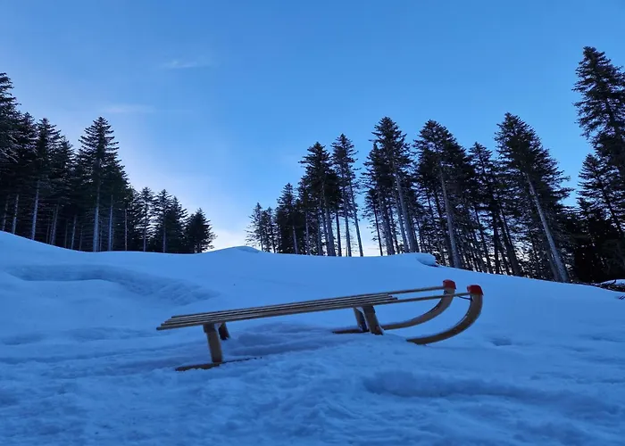 Apartman In Am Skilift *